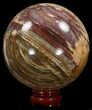 Colorful Petrified Wood Sphere #41958-1
